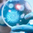 Санитарно – гигиенические требования к эксплуатации медицинских организаций в рамках профилактики инфекции, связанных с оказанием медицинской помощи - Роспотребнадзор