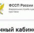 Общение с судебными приставами-исполнителями с помощью электронного сервиса - УФССП