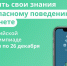 Всероссийская онлайн-олимпиада «Безопасный интернет» для школьников с 1-го по 9-й класс - Управление по информационным технологиям и связи