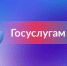 Единому порталу госуслуг исполнилось 13 лет - Управление по информационным технологиям и связи