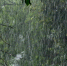 Фото: techinsider.ru - E-Osetia.Ru