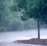 Фото: ru.pinterest.com - E-Osetia.Ru