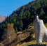 Фото: Открытый источник - E-Osetia.Ru