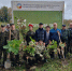 В Урсдоне высадили 1000 саженцев бука восточного в рамках Всероссийской акции «Сохраним лес» - Министерство природных ресурсов и экологии