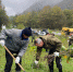 Фото: Ossetia News - E-Osetia.Ru