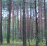 Фото: Мир 24 - E-Osetia.Ru