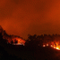 Фото: открытый источник - E-Osetia.Ru