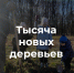 Управление благоустройства подводит итоги - Администрация г. Владикавказ