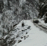 Фото: открытый источник - E-Osetia.Ru