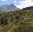 Фото: t.me/ph_xox - E-Osetia.Ru