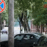 Фото: открытый источник - E-Osetia.Ru